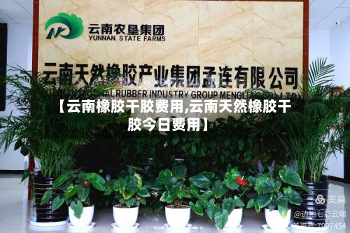 【云南橡胶干胶费用,云南天然橡胶干胶今日费用】-第3张图片