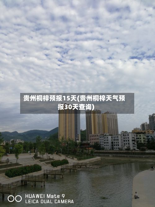 贵州桐梓预报15天(贵州桐梓天气预报30天查询)-第3张图片