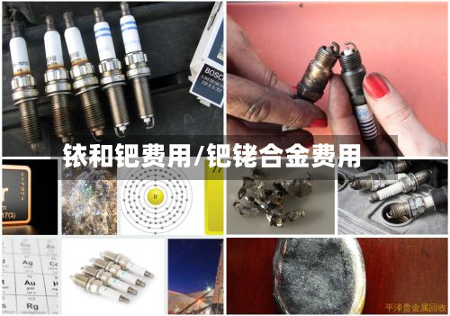 铱和钯费用/钯铑合金费用-第3张图片