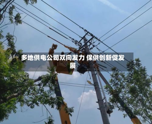 多地供电公司双向发力 保供创新促发展