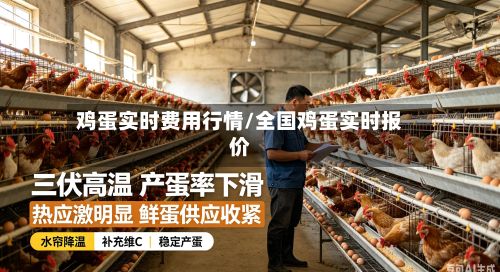 鸡蛋实时费用行情/全国鸡蛋实时报价