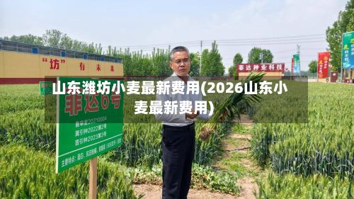 山东潍坊小麦最新费用(2026山东小麦最新费用)