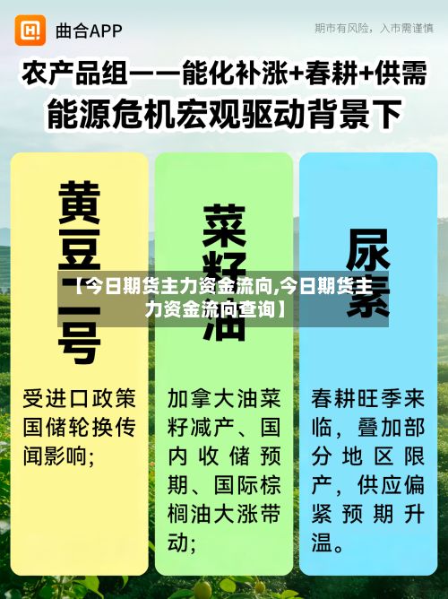 【今日期货主力资金流向,今日期货主力资金流向查询】