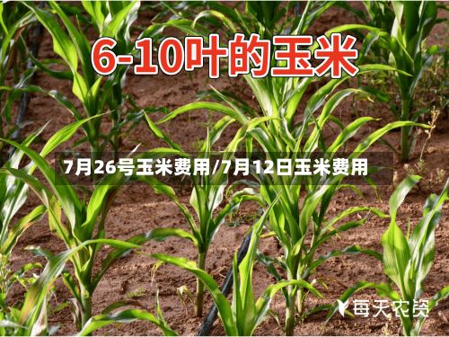 7月26号玉米费用/7月12日玉米费用