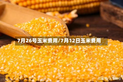 7月26号玉米费用/7月12日玉米费用-第2张图片