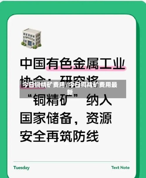 今日铜精矿费用/今日铜精矿费用最新