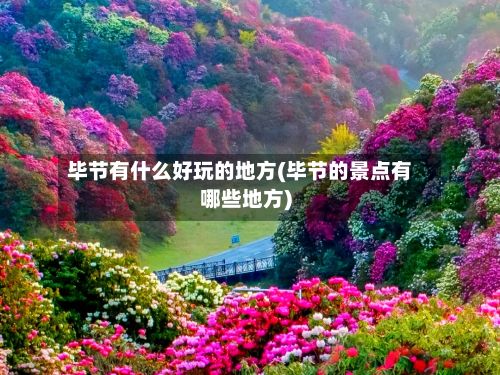 毕节有什么好玩的地方(毕节的景点有哪些地方)-第2张图片