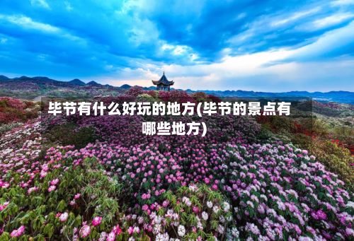 毕节有什么好玩的地方(毕节的景点有哪些地方)