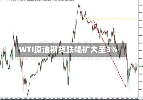 WTI原油期货跌幅扩大至3%-第2张图片