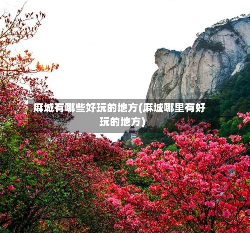 麻城有哪些好玩的地方(麻城哪里有好玩的地方)-第2张图片