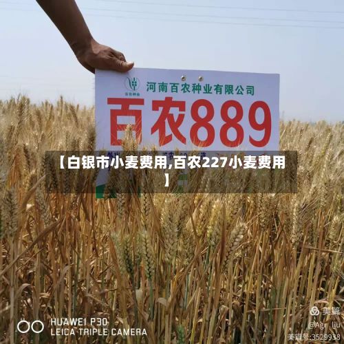 【白银市小麦费用,百农227小麦费用】