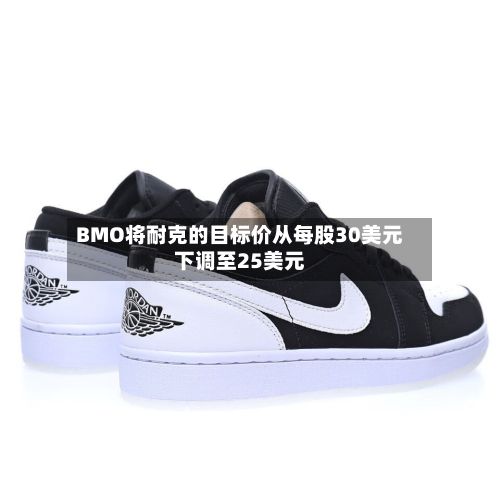 BMO将耐克的目标价从每股30美元下调至25美元-第2张图片