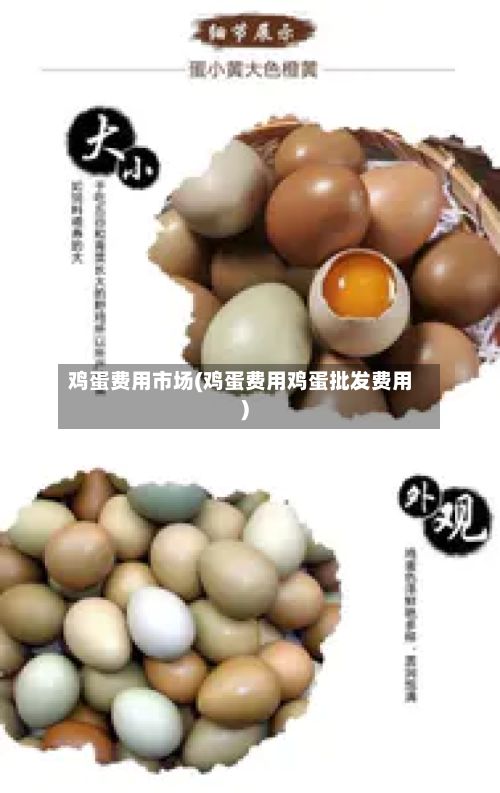 鸡蛋费用市场(鸡蛋费用鸡蛋批发费用)