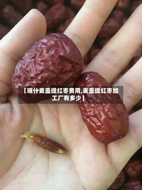 【喀什麦盖提红枣费用,麦盖提红枣加工厂有多少】