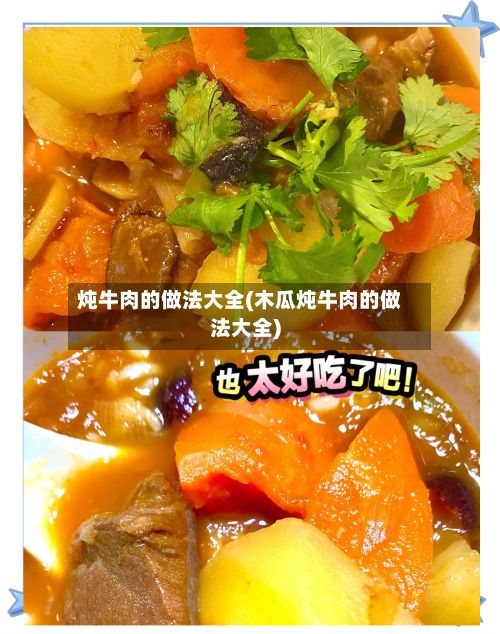 炖牛肉的做法大全(木瓜炖牛肉的做法大全)