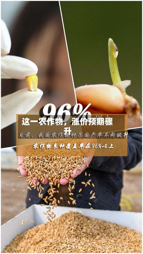 这一农作物，涨价预期骤升-第2张图片