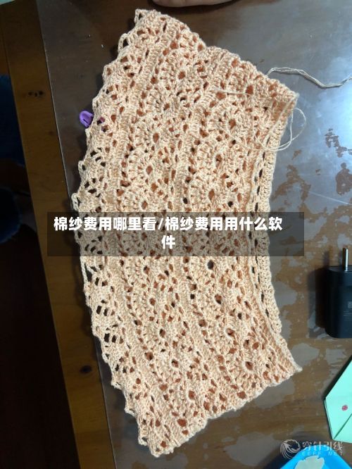 棉纱费用哪里看/棉纱费用用什么软件