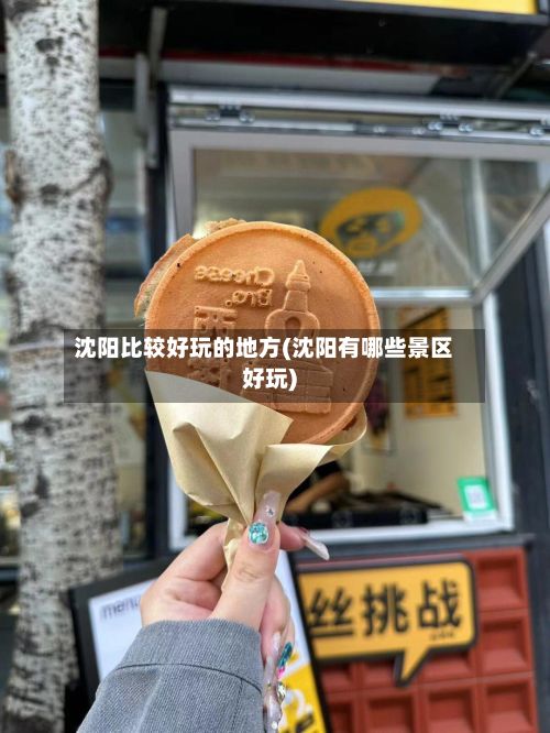 沈阳比较好玩的地方(沈阳有哪些景区好玩)-第2张图片