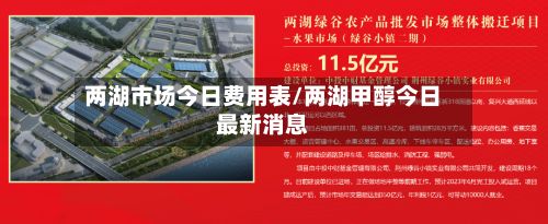两湖市场今日费用表/两湖甲醇今日最新消息