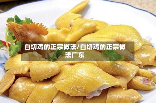 白切鸡的正宗做法/白切鸡的正宗做法广东-第2张图片