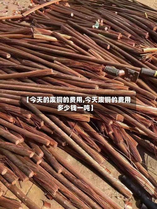 【今天的废铜的费用,今天废铜的费用多少钱一吨】-第2张图片