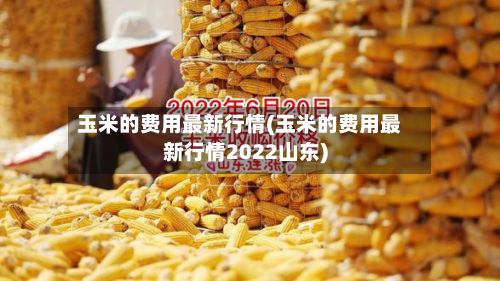 玉米的费用最新行情(玉米的费用最新行情2022山东)-第2张图片
