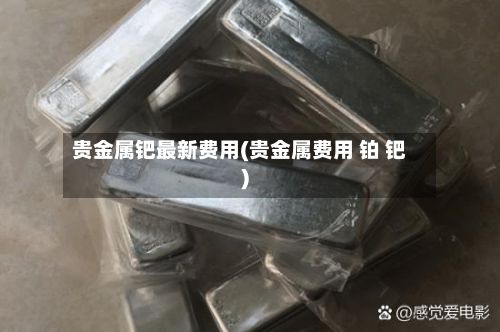 贵金属钯最新费用(贵金属费用 铂 钯)-第2张图片