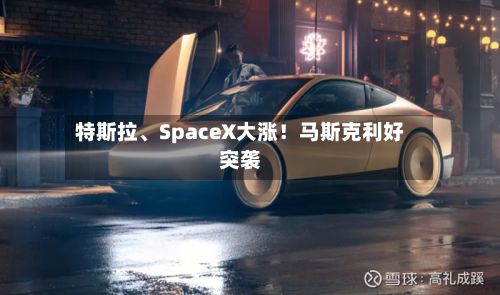 特斯拉、SpaceX大涨！马斯克利好突袭-第3张图片