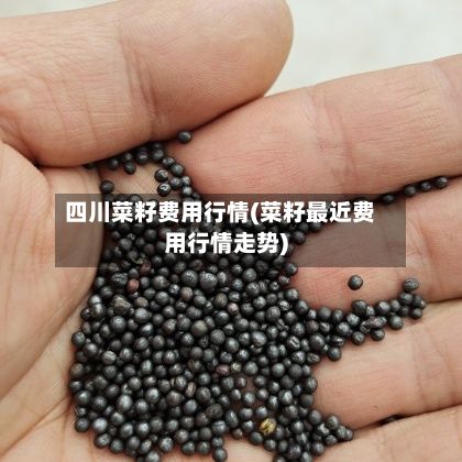 四川菜籽费用行情(菜籽最近费用行情走势)-第2张图片