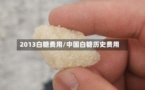2013白糖费用/中国白糖历史费用-第2张图片