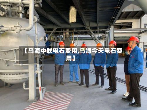 【乌海中联电石费用,乌海今天电石费用】