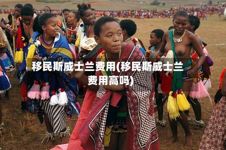 移民斯威士兰费用(移民斯威士兰费用高吗)-第2张图片