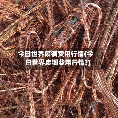 今日世界废铜费用行情(今日世界废铜费用行情?)-第3张图片