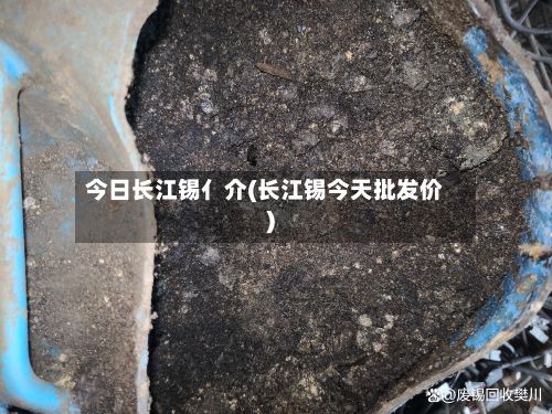 今日长江锡亻介(长江锡今天批发价)