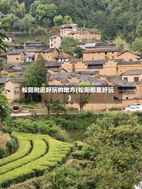 松阳附近好玩的地方(松阳那里好玩)-第2张图片