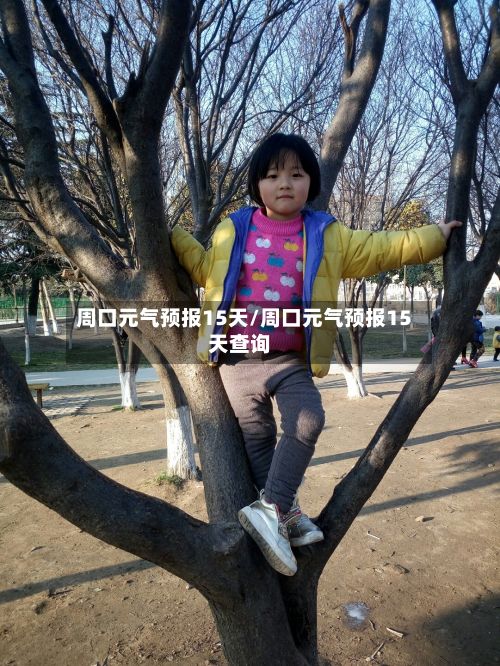 周口元气预报15天/周口元气预报15天查询