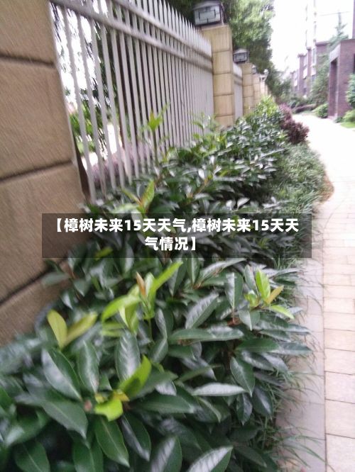 【樟树未来15天天气,樟树未来15天天气情况】-第3张图片