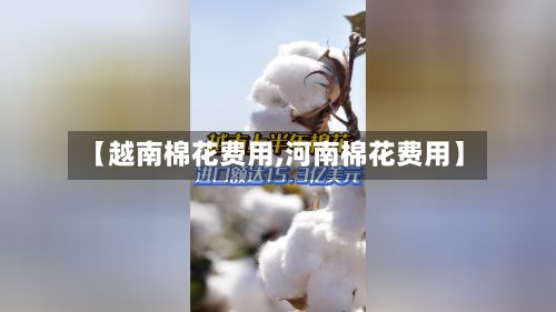 【越南棉花费用,河南棉花费用】-第2张图片