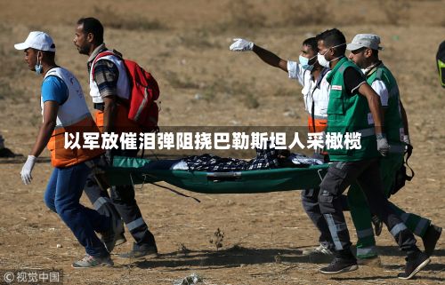 以军放催泪弹阻挠巴勒斯坦人采橄榄-第3张图片