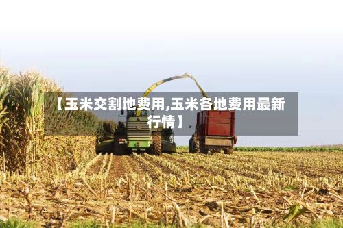 【玉米交割地费用,玉米各地费用最新行情】-第2张图片