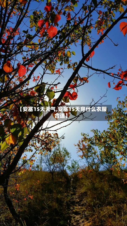 【安塞15天天气,安塞15天穿什么衣服合适】-第2张图片