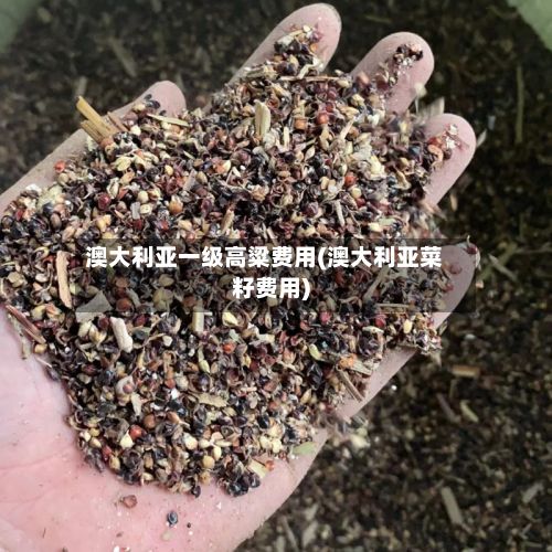 澳大利亚一级高粱费用(澳大利亚菜籽费用)-第2张图片