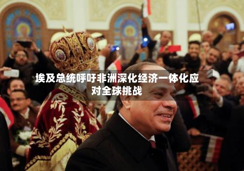 埃及总统呼吁非洲深化经济一体化应对全球挑战