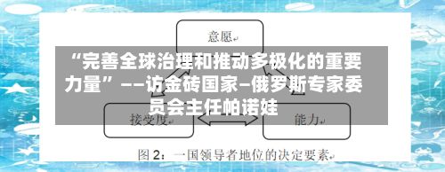 “完善全球治理和推动多极化的重要力量” ——访金砖国家—俄罗斯专家委员会主任帕诺娃-第2张图片