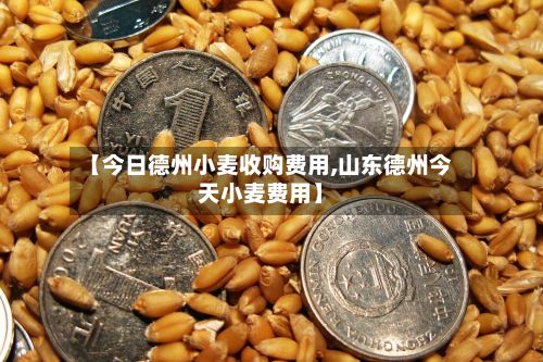【今日德州小麦收购费用,山东德州今天小麦费用】-第3张图片
