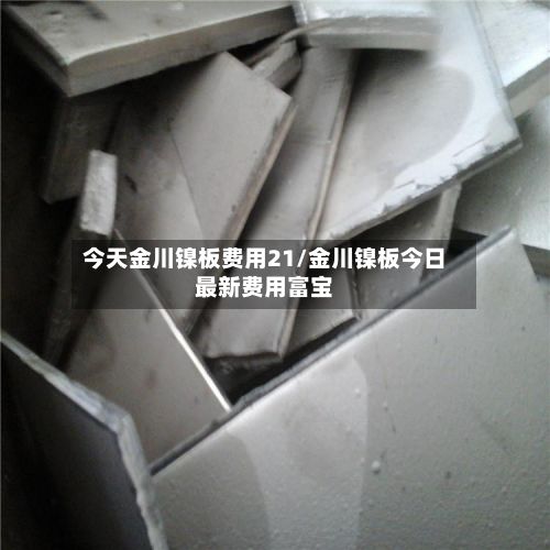 今天金川镍板费用21/金川镍板今日最新费用富宝-第2张图片