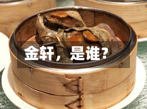 金轩，是谁？