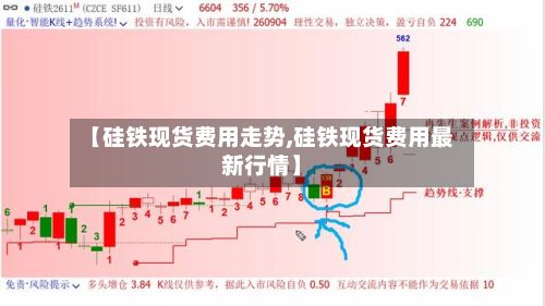 【硅铁现货费用走势,硅铁现货费用最新行情】-第2张图片