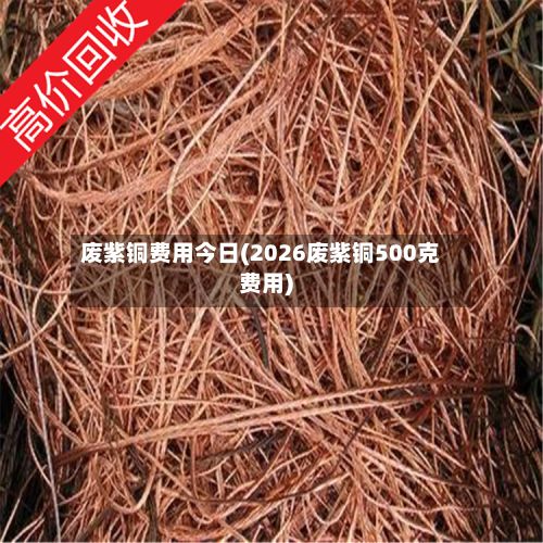 废紫铜费用今日(2026废紫铜500克费用)-第2张图片