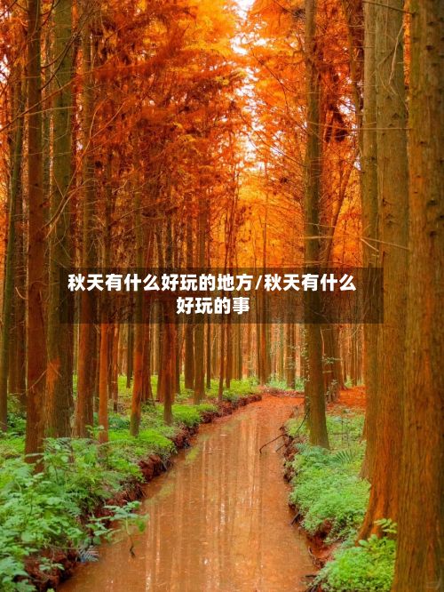秋天有什么好玩的地方/秋天有什么好玩的事-第2张图片